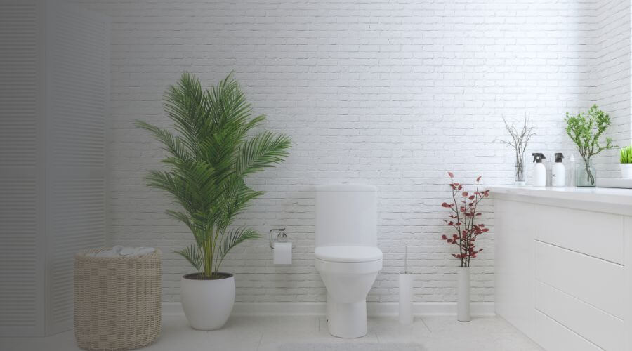 Why Choose Deluxe Porta Potty